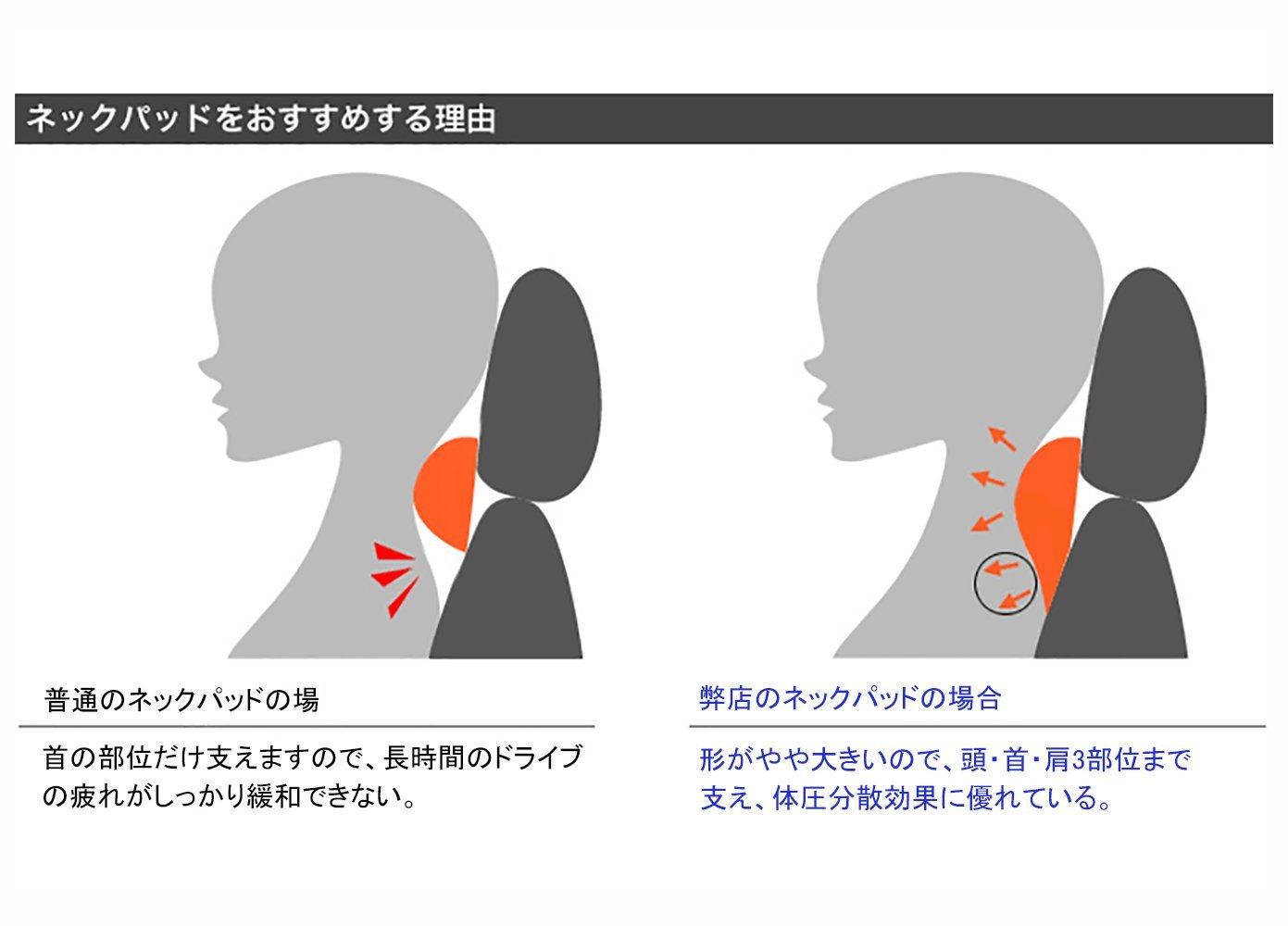 動物画像無料 Hd限定車 クッション かっこいい